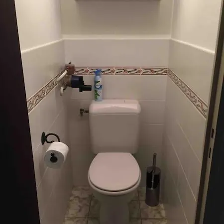 Apartment Grand Studio De 36m2 Avec Alcove, Situe Au Centre. *