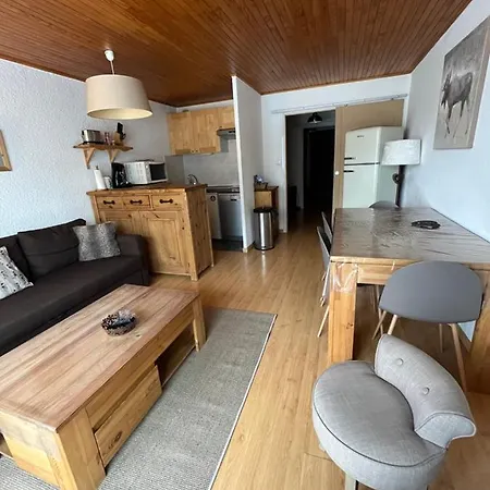 Grand Studio De 36m2 Avec Alcove, Situe Au Centre.